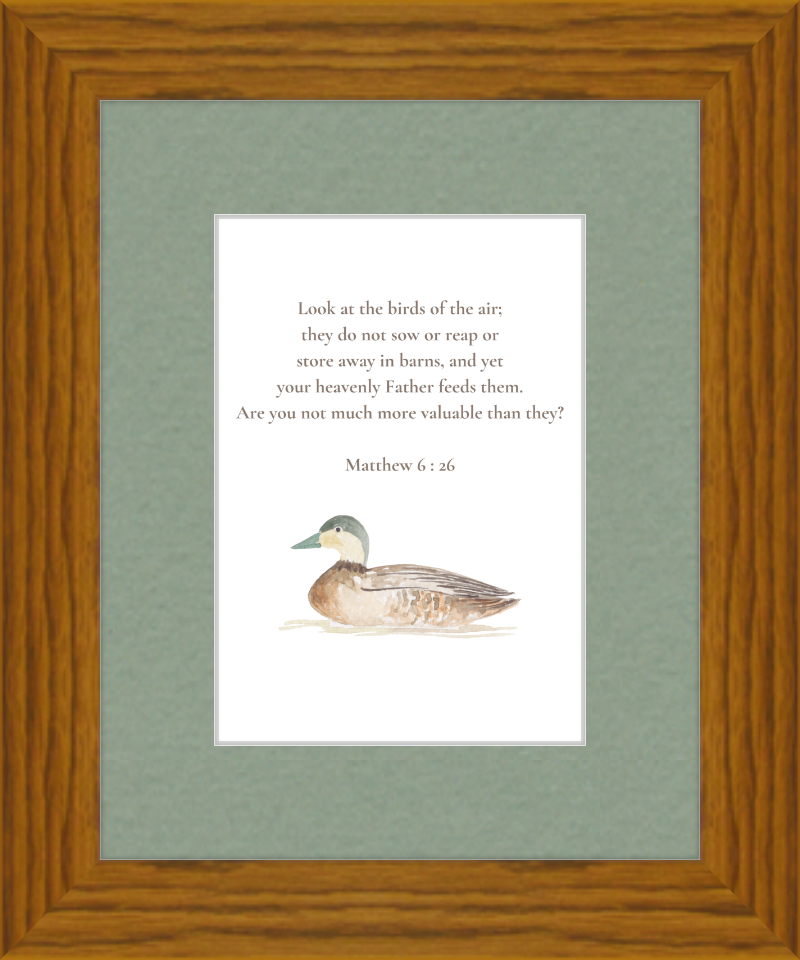 Matthew 6:26 NIV w/duck