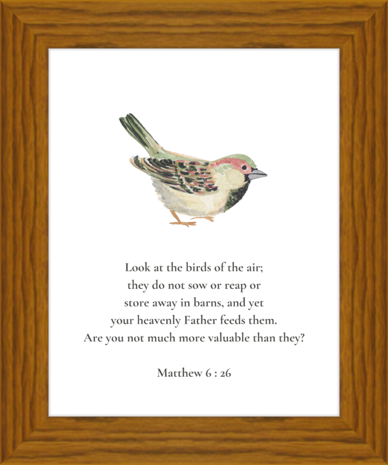 Matthew 6:26 NIV w/bird