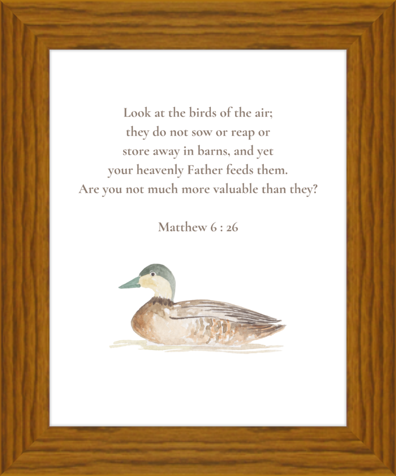 Matthew 6:26 NIV w/duck