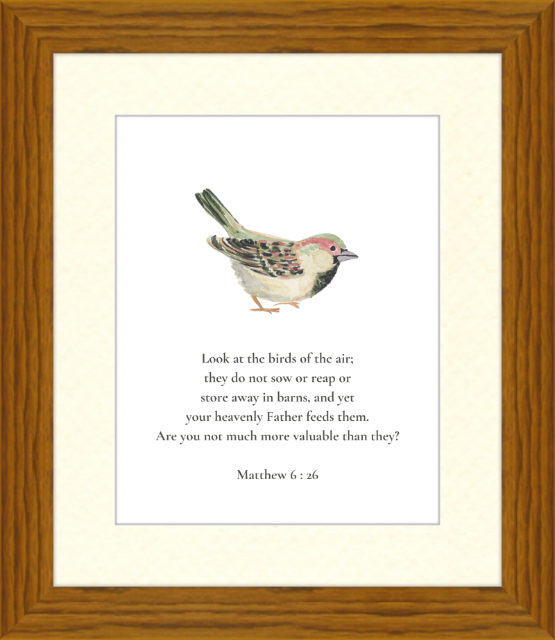 Matthew 6:26 NIV w/bird