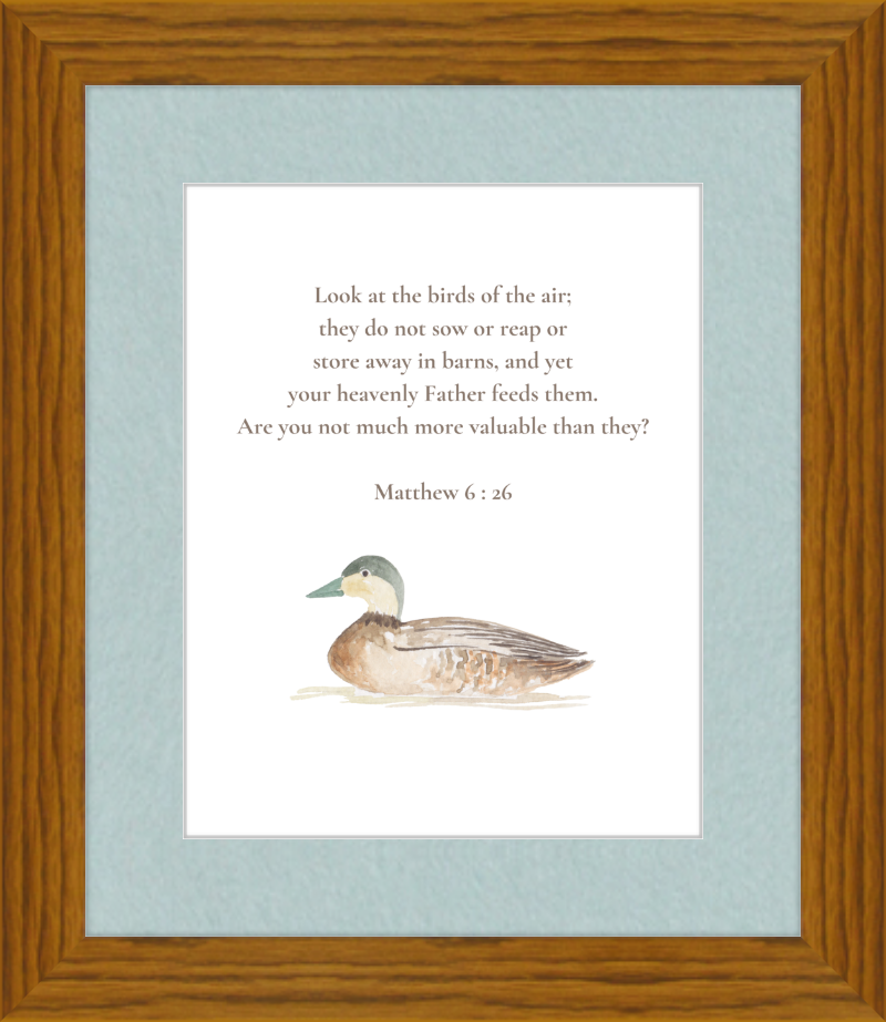 Matthew 6:26 NIV w/duck