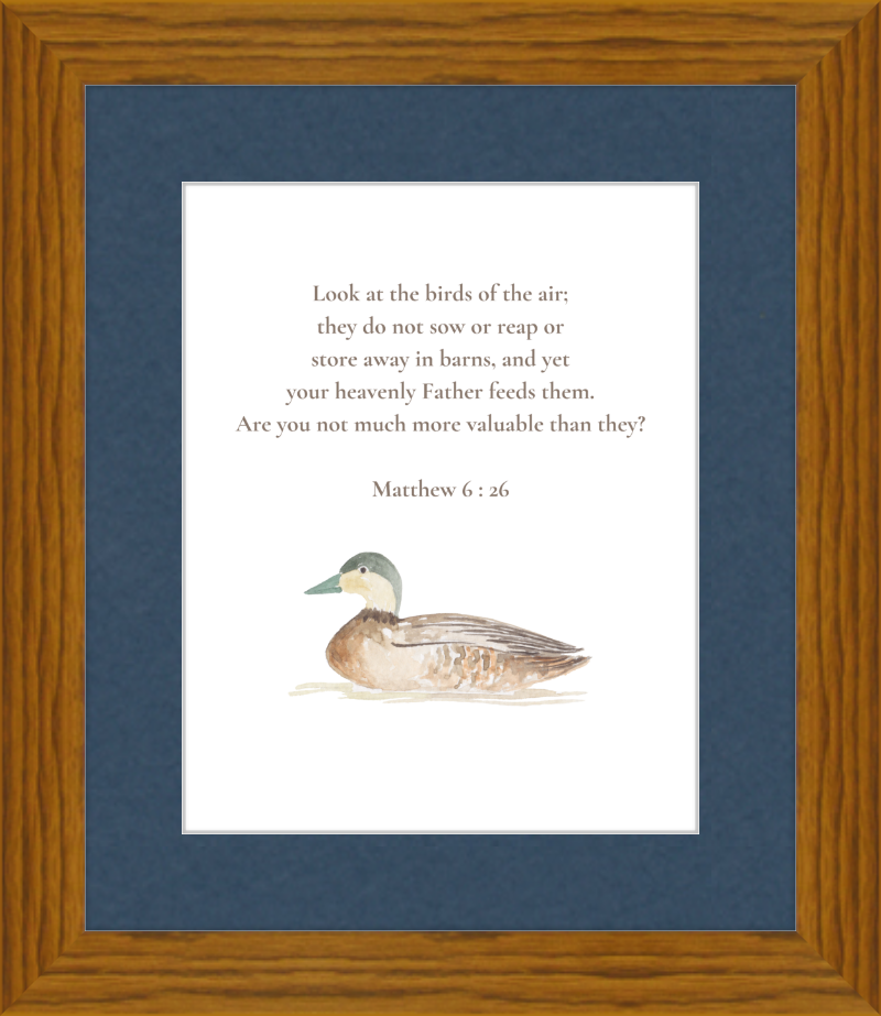 Matthew 6:26 NIV w/duck