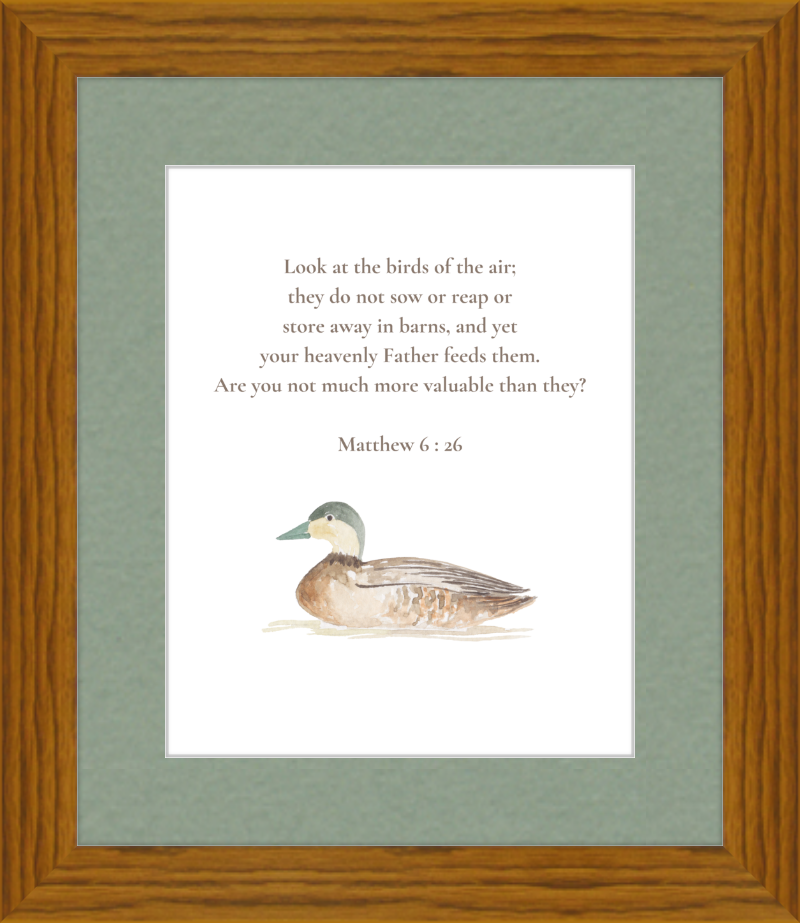 Matthew 6:26 NIV w/duck