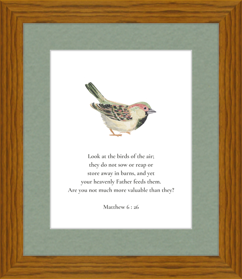 Matthew 6:26 NIV w/bird