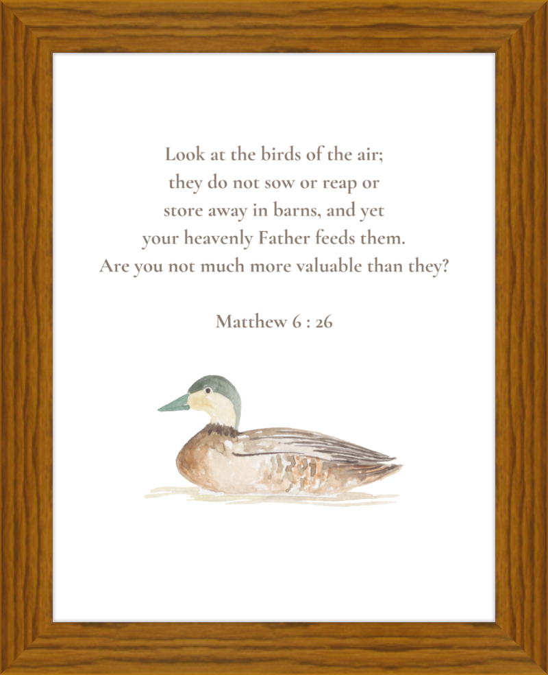 Matthew 6:26 NIV w/duck