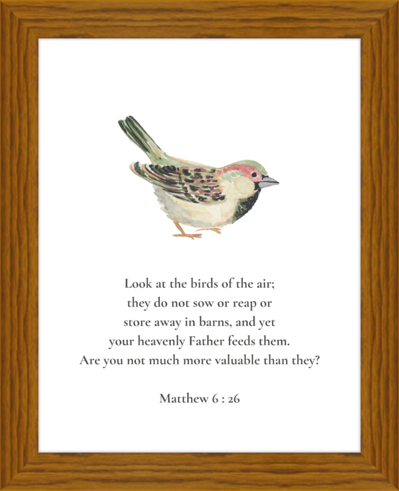 Matthew 6:26 NIV w/bird