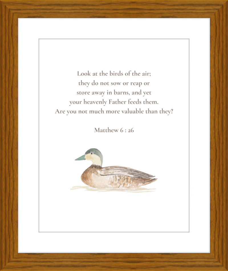 Matthew 6:26 NIV w/duck