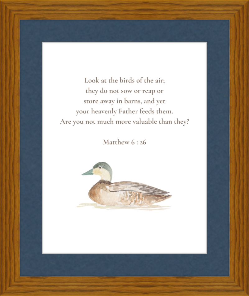 Matthew 6:26 NIV w/duck