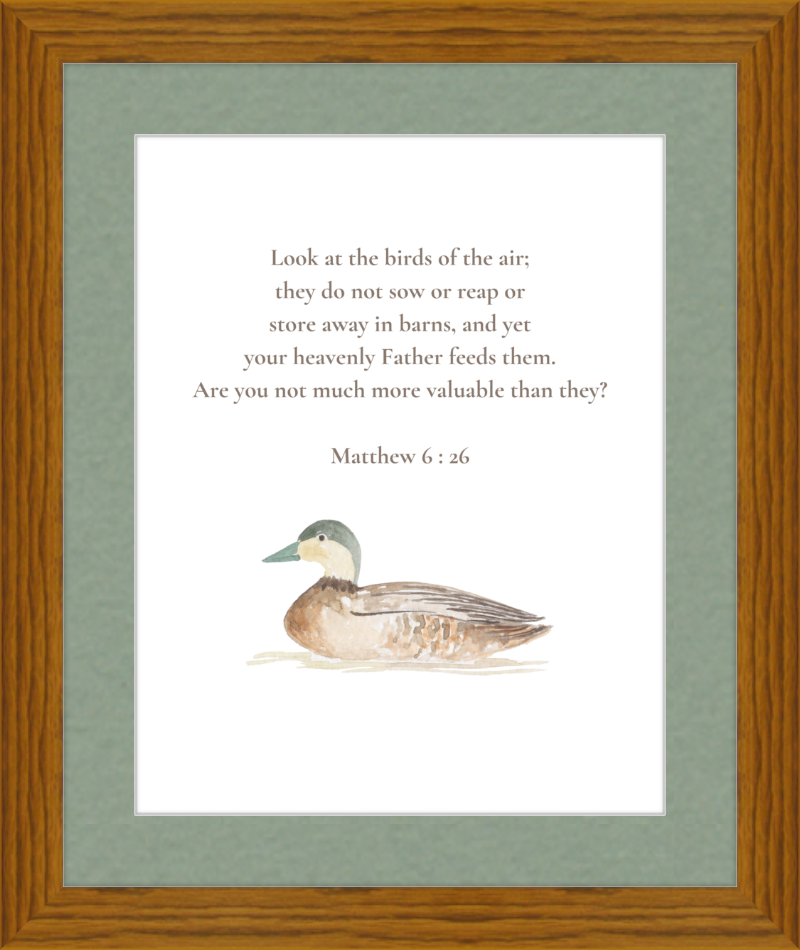 Matthew 6:26 NIV w/duck