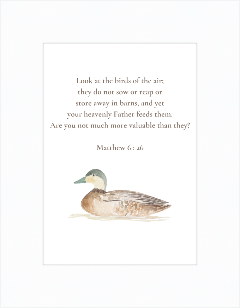 Matthew 6:26 NIV w/duck