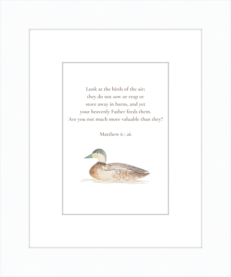 Matthew 6:26 NIV w/duck