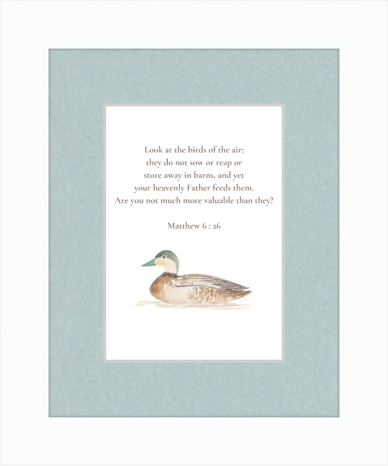 Matthew 6:26 NIV w/duck