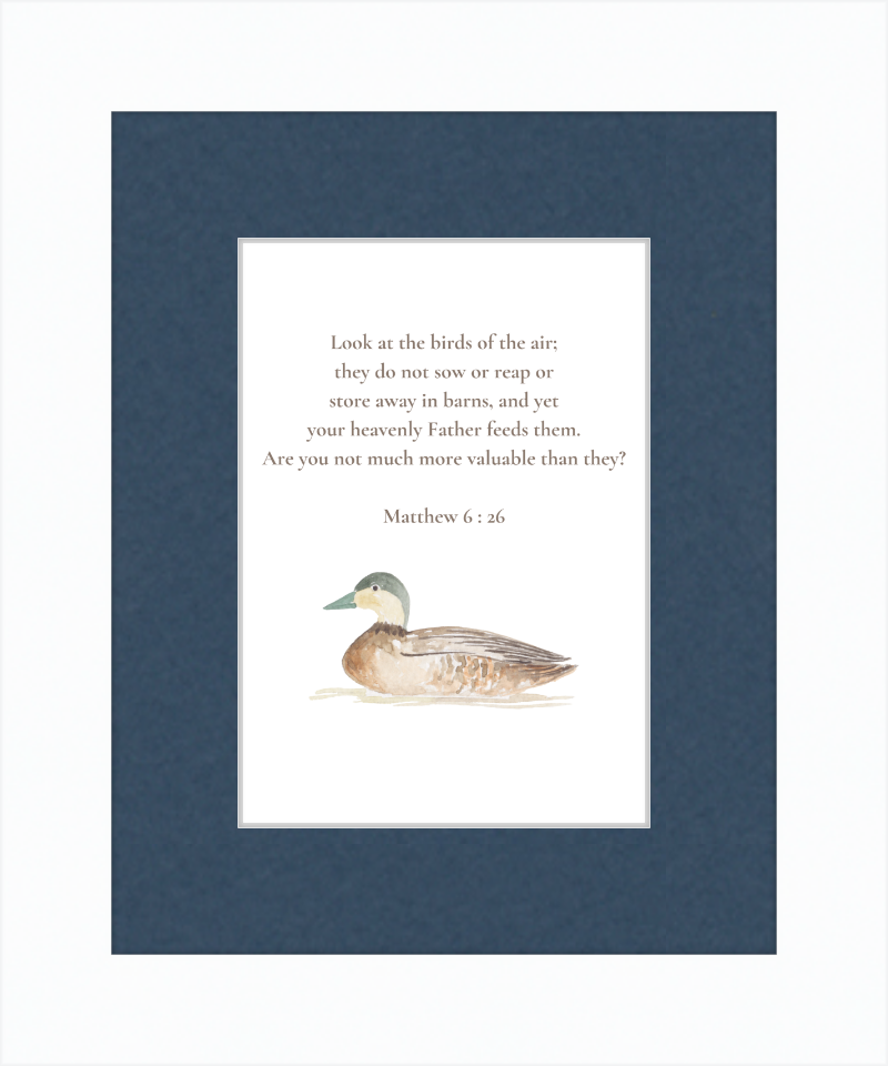 Matthew 6:26 NIV w/duck