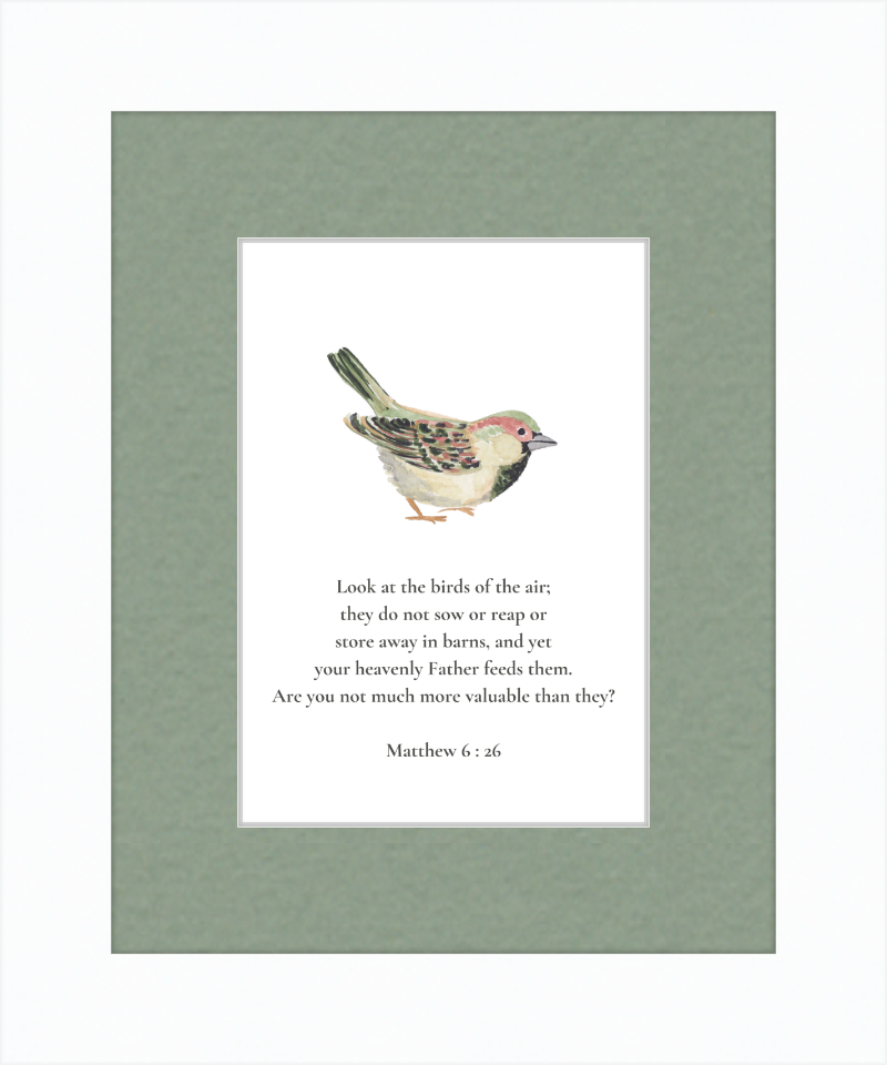 Matthew 6:26 NIV w/bird