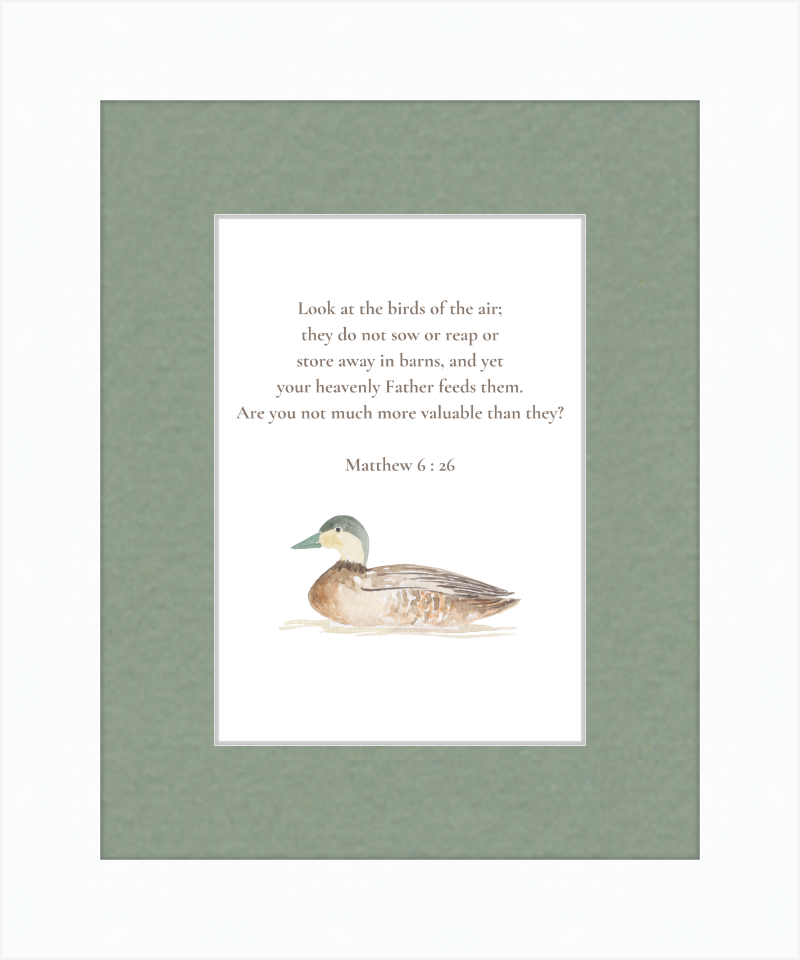 Matthew 6:26 NIV w/duck