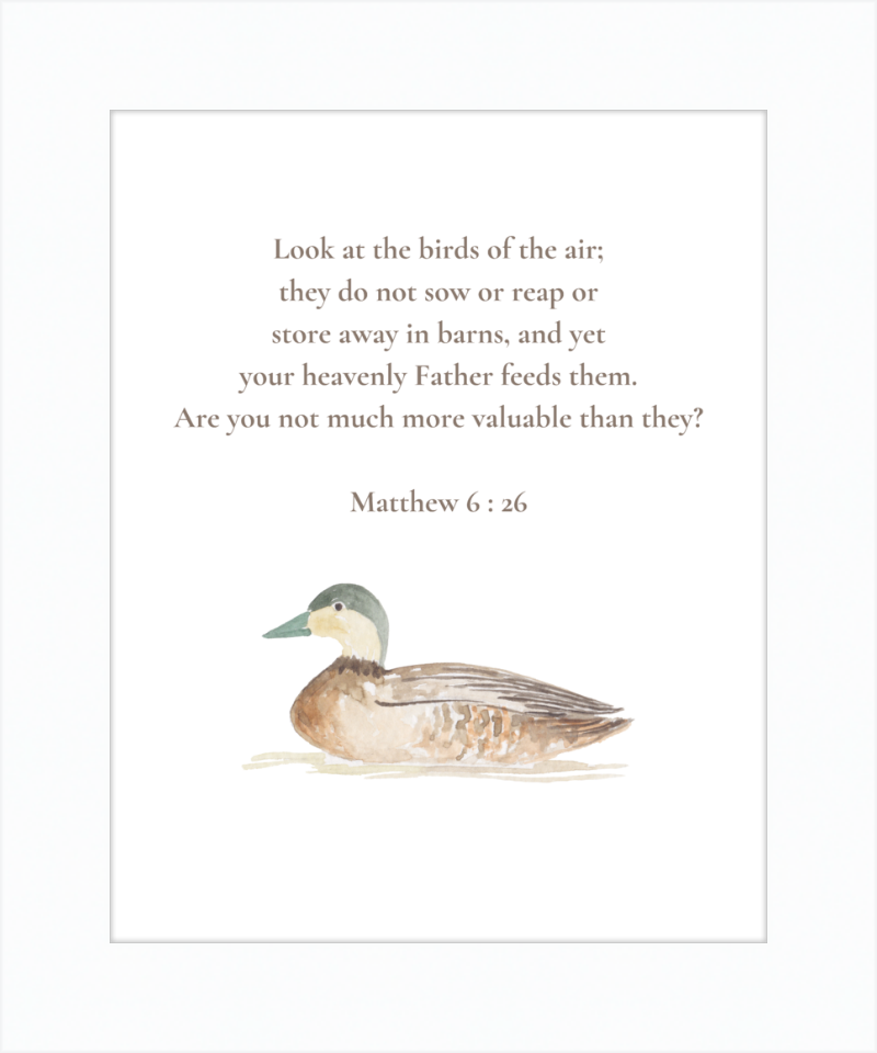 Matthew 6:26 NIV w/duck