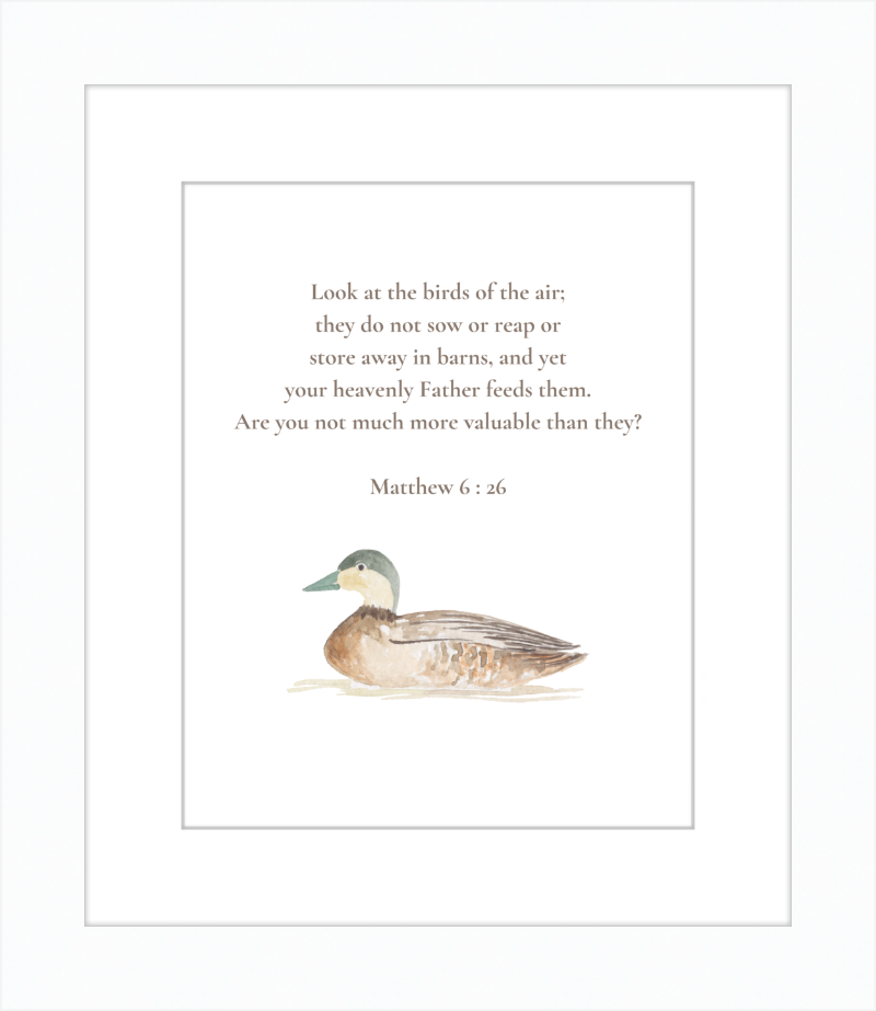 Matthew 6:26 NIV w/duck