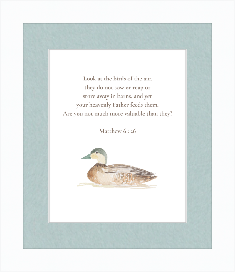 Matthew 6:26 NIV w/duck