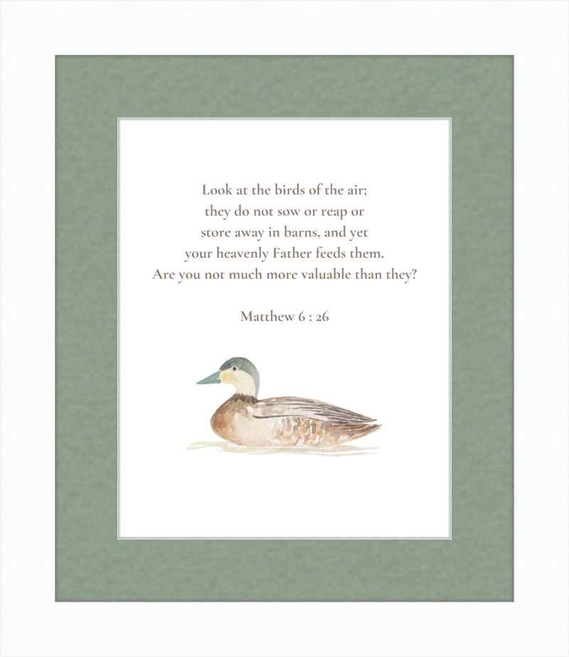 Matthew 6:26 NIV w/duck