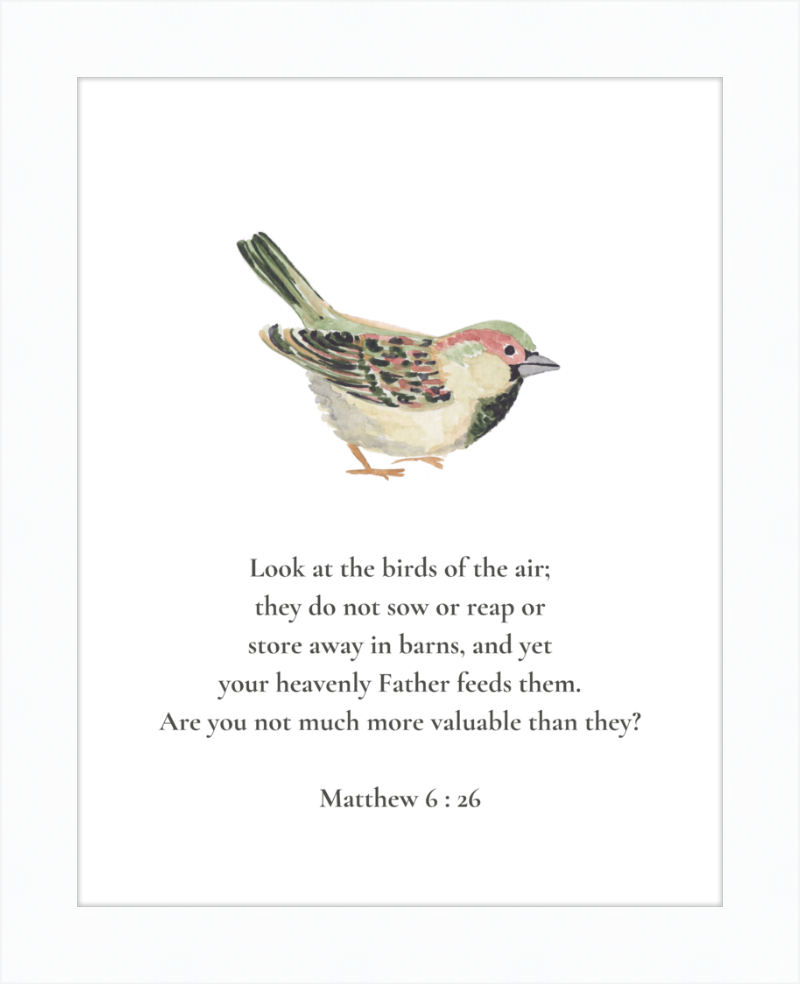 Matthew 6:26 NIV w/bird