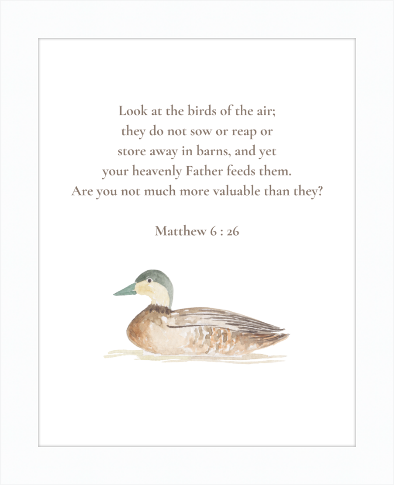 Matthew 6:26 NIV w/duck