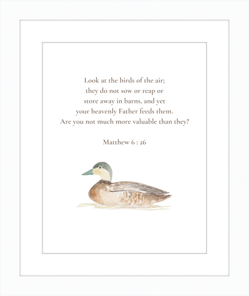 Matthew 6:26 NIV w/duck