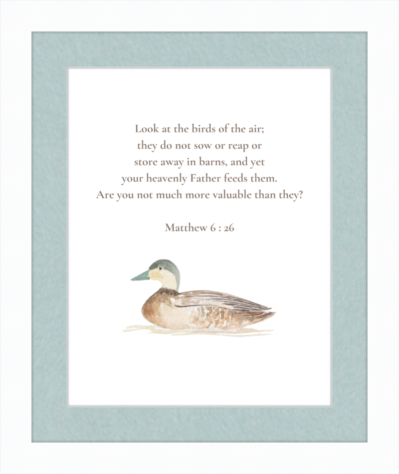 Matthew 6:26 NIV w/duck