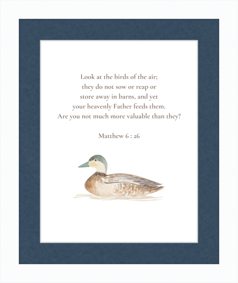 Matthew 6:26 NIV w/duck