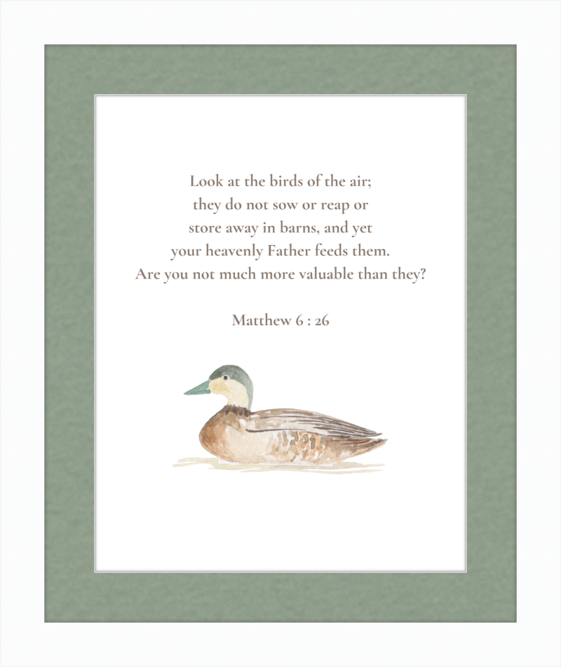 Matthew 6:26 NIV w/duck