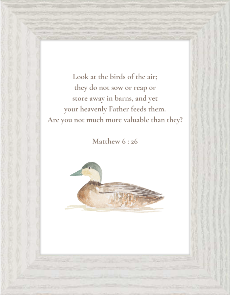 Matthew 6:26 NIV w/duck