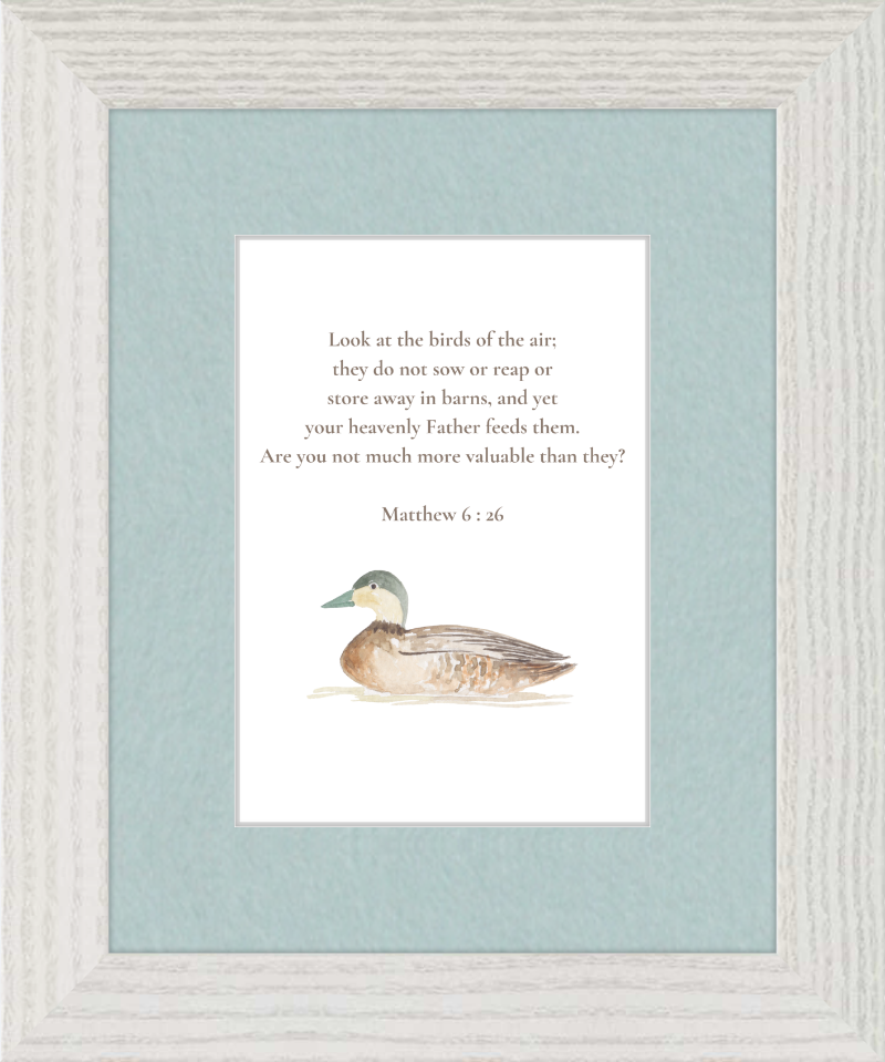 Matthew 6:26 NIV w/duck