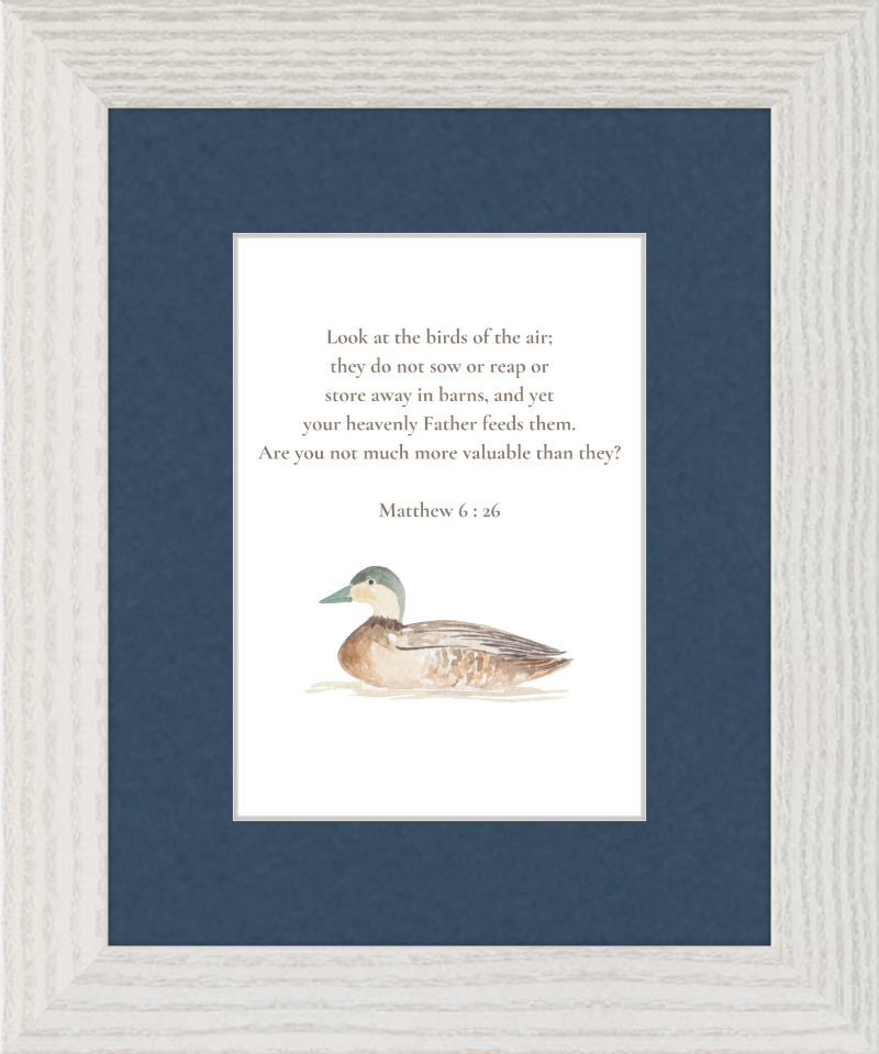 Matthew 6:26 NIV w/duck