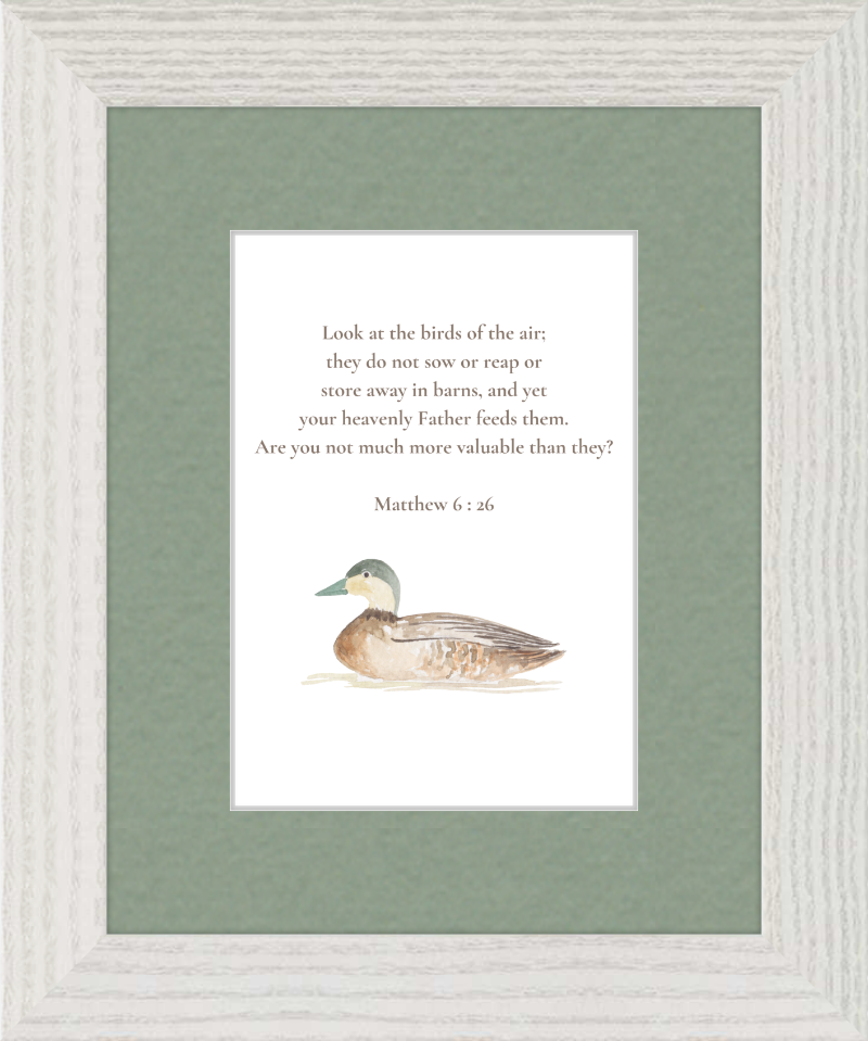 Matthew 6:26 NIV w/duck