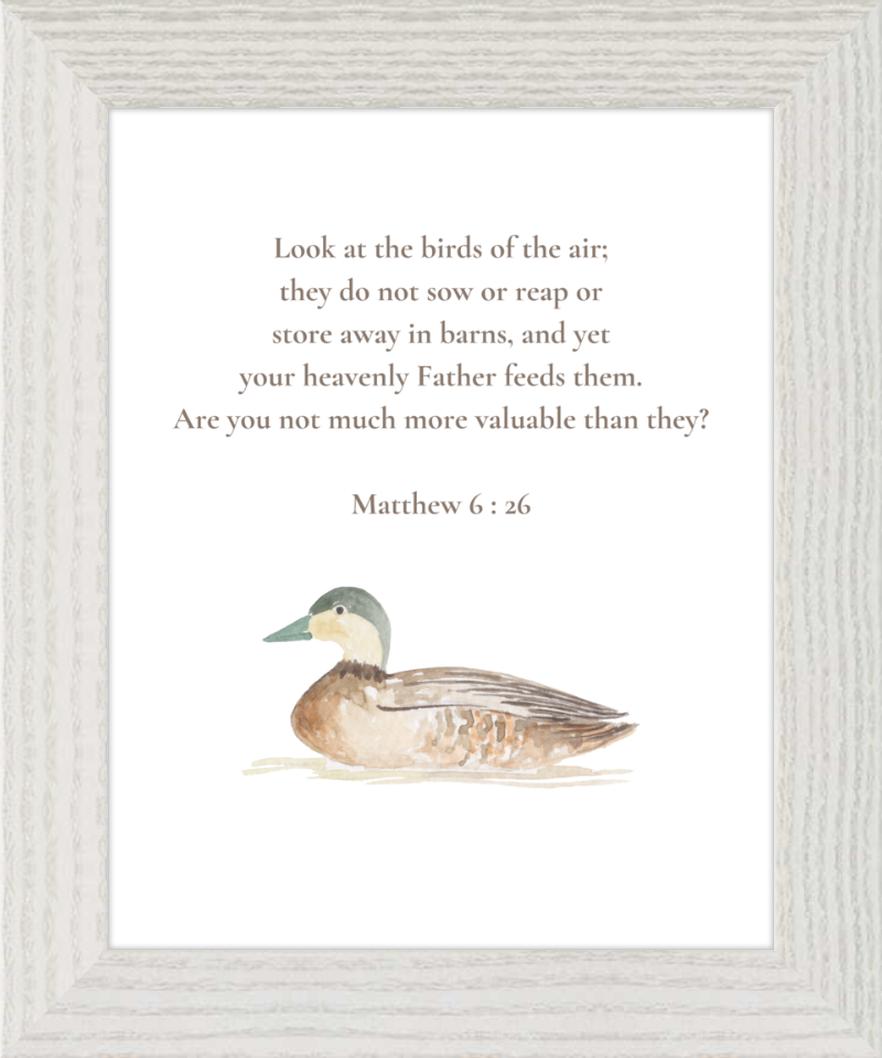 Matthew 6:26 NIV w/duck