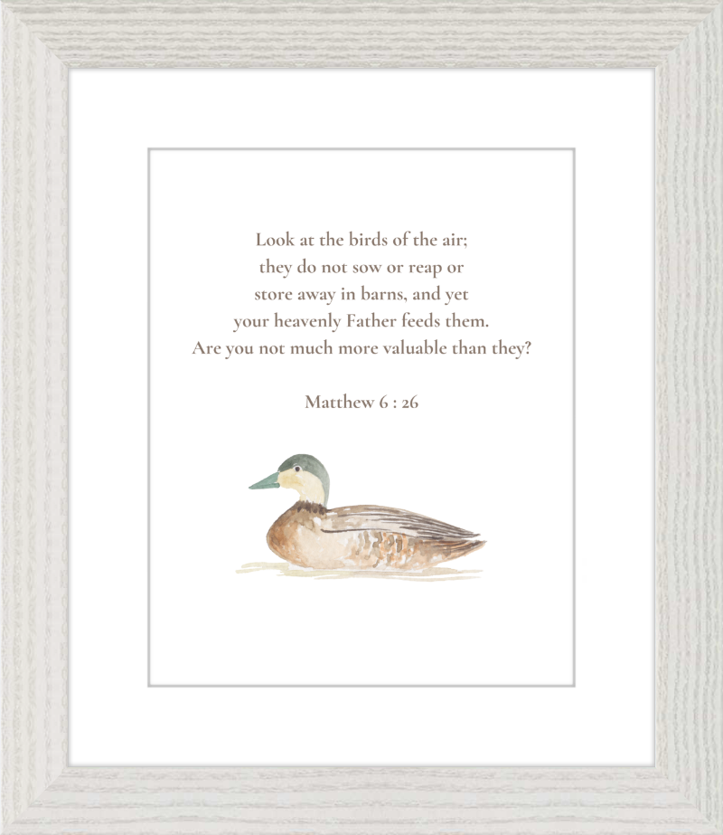 Matthew 6:26 NIV w/duck