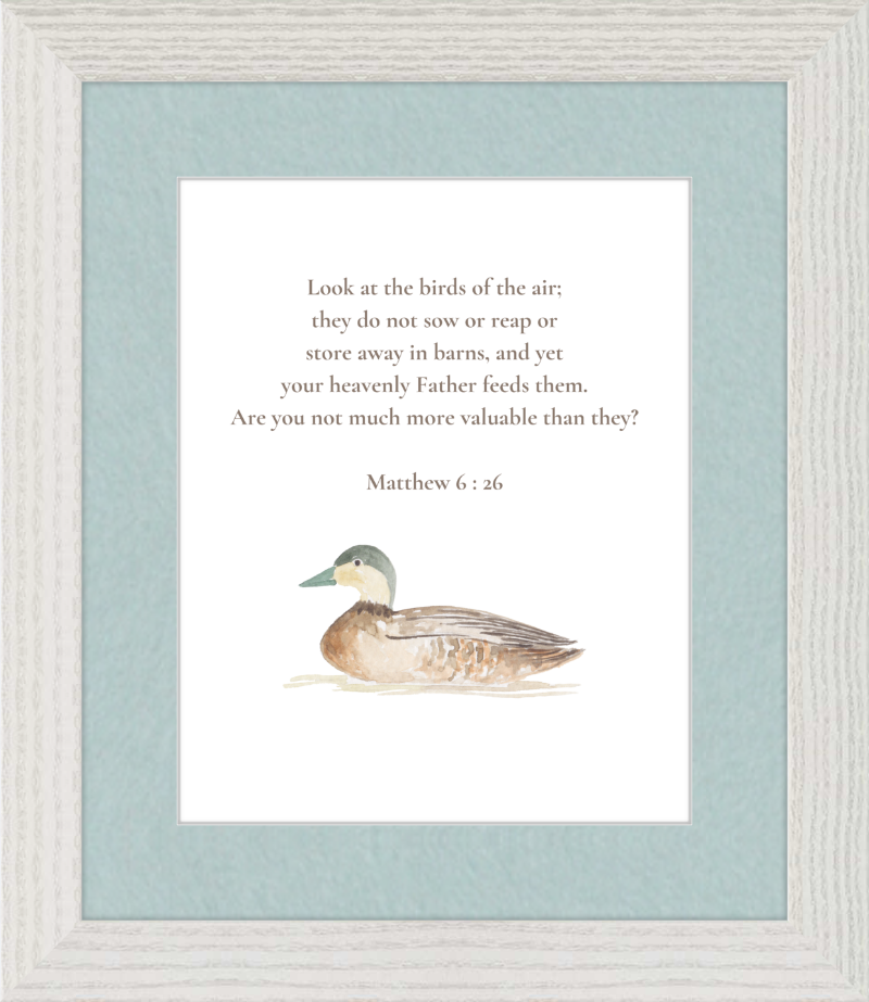 Matthew 6:26 NIV w/duck