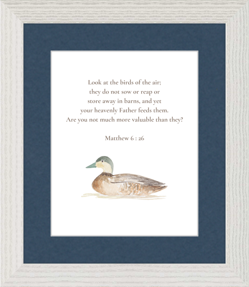 Matthew 6:26 NIV w/duck