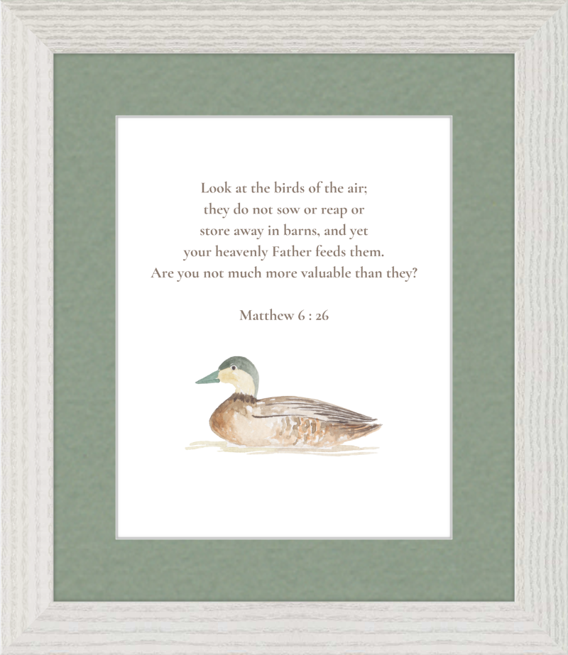 Matthew 6:26 NIV w/duck