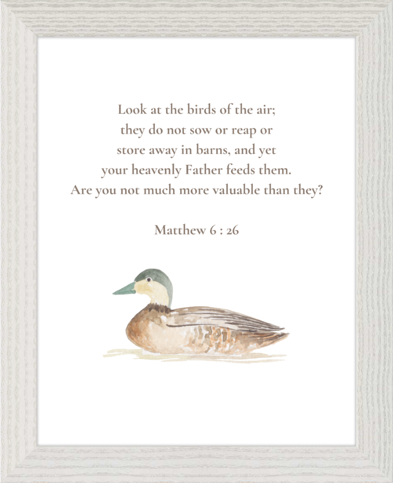 Matthew 6:26 NIV w/duck