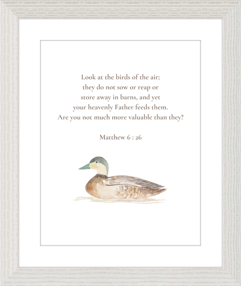 Matthew 6:26 NIV w/duck