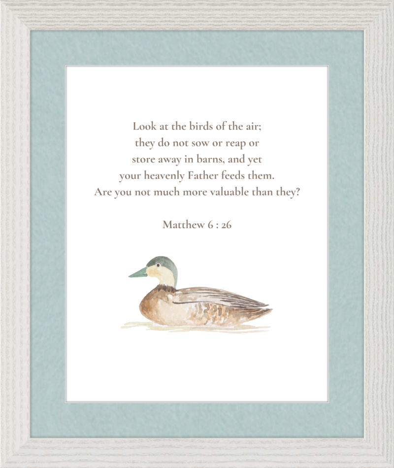 Matthew 6:26 NIV w/duck