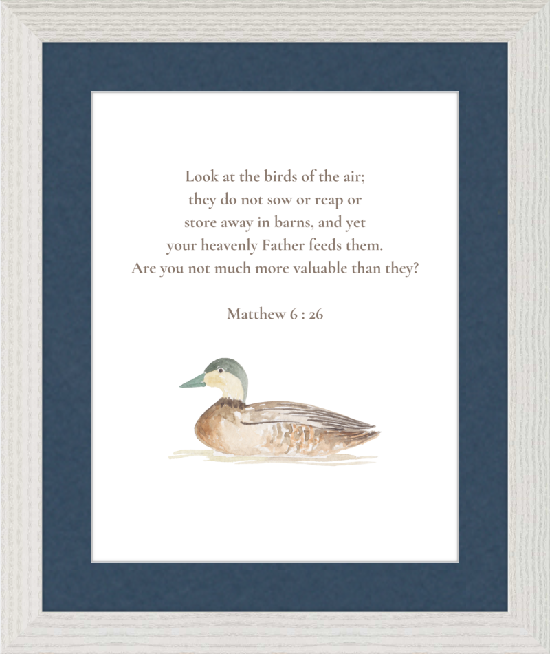 Matthew 6:26 NIV w/duck