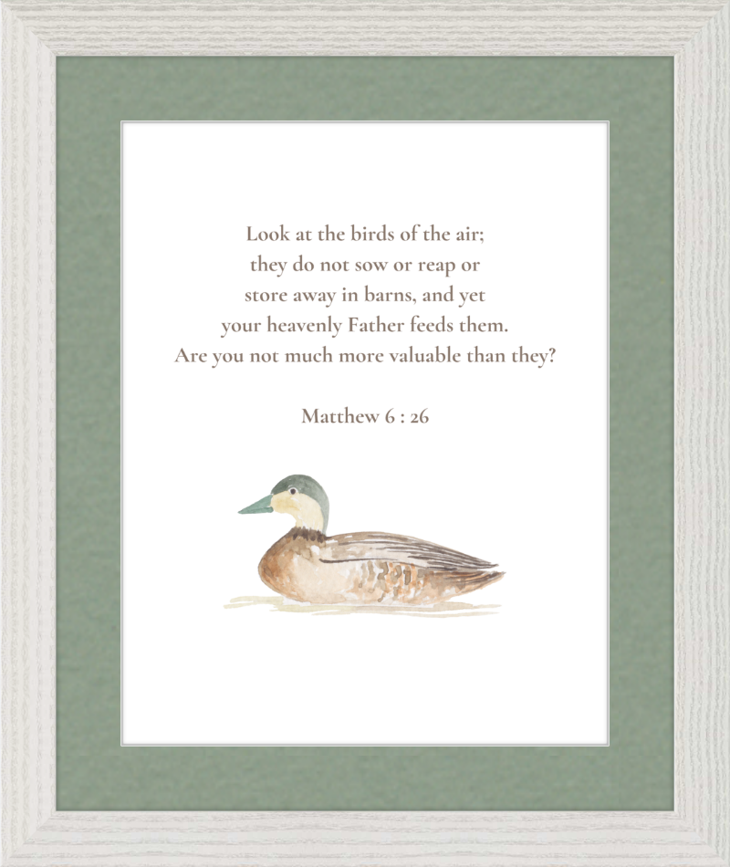 Matthew 6:26 NIV w/duck