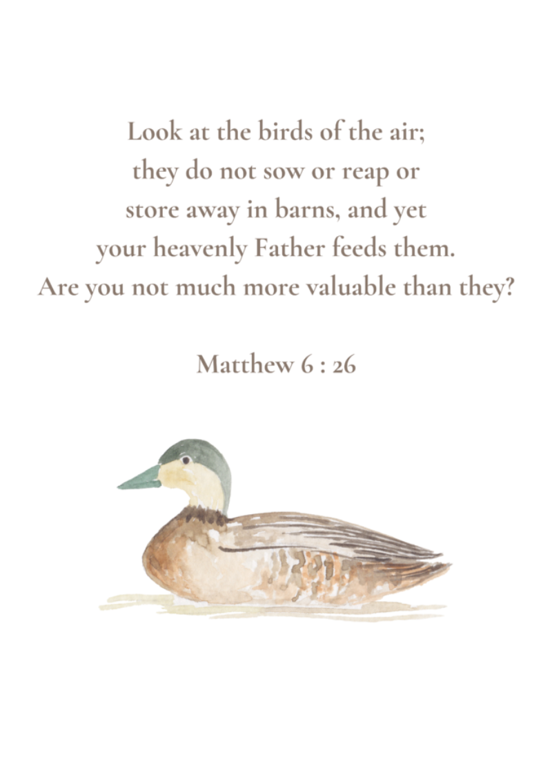 Matthew 6:26 NIV w/duck