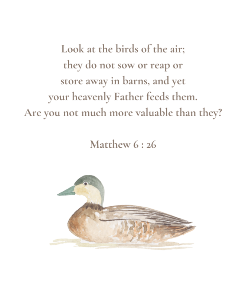 Matthew 6:26 NIV w/duck