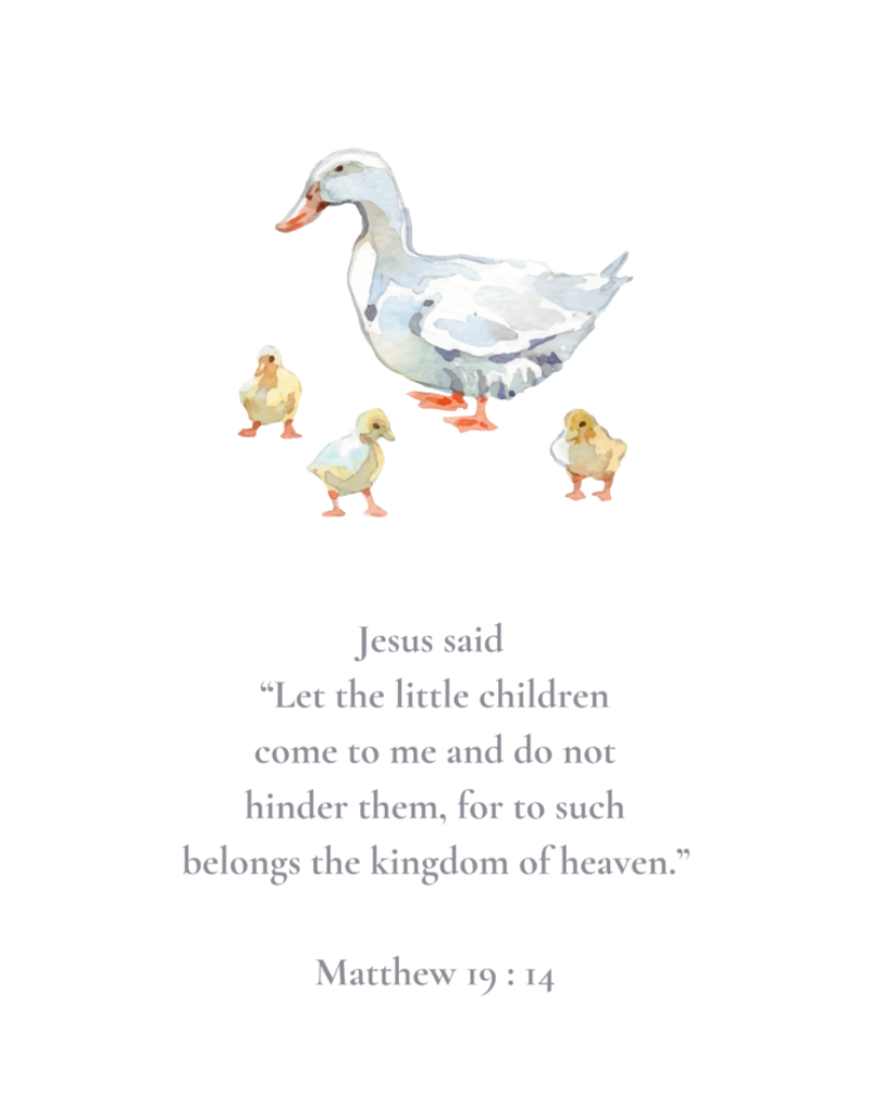 Matthew 19:14 NIV w/Ducks