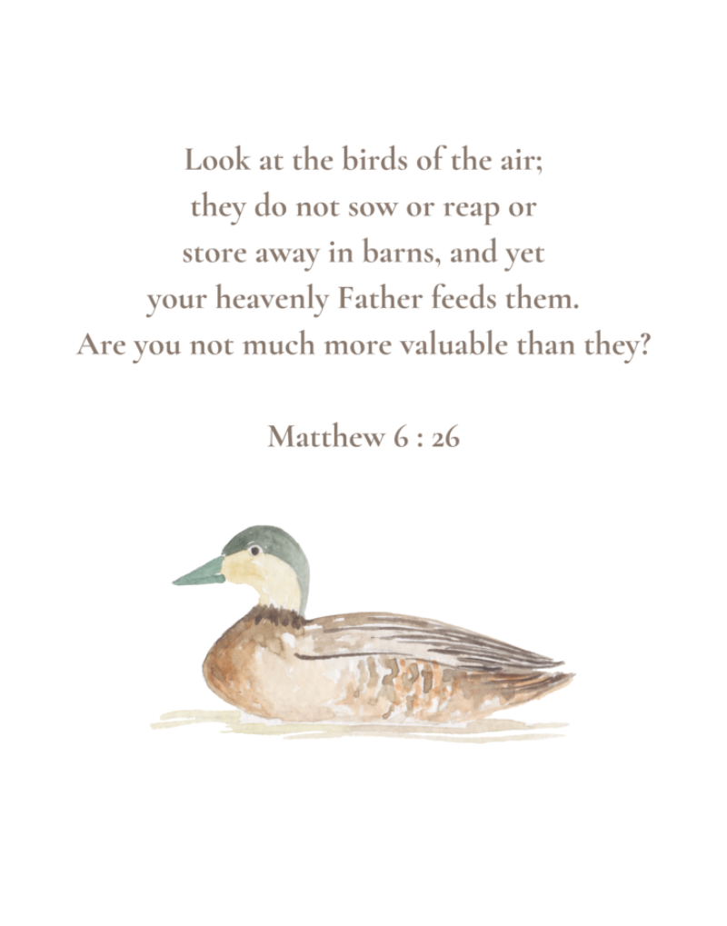 Matthew 6:26 NIV w/duck