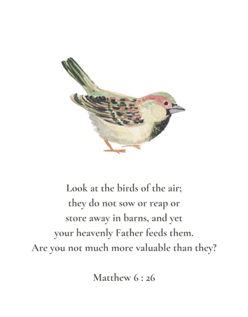 Matthew 6:26 NIV w/bird